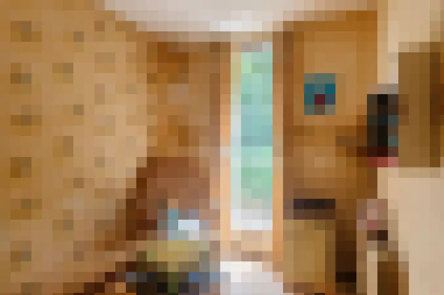 Kostverloren 1002 Heerenveen thumbnail 30