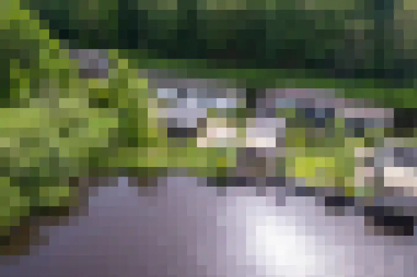 Kostverloren 1002 Heerenveen thumbnail 5