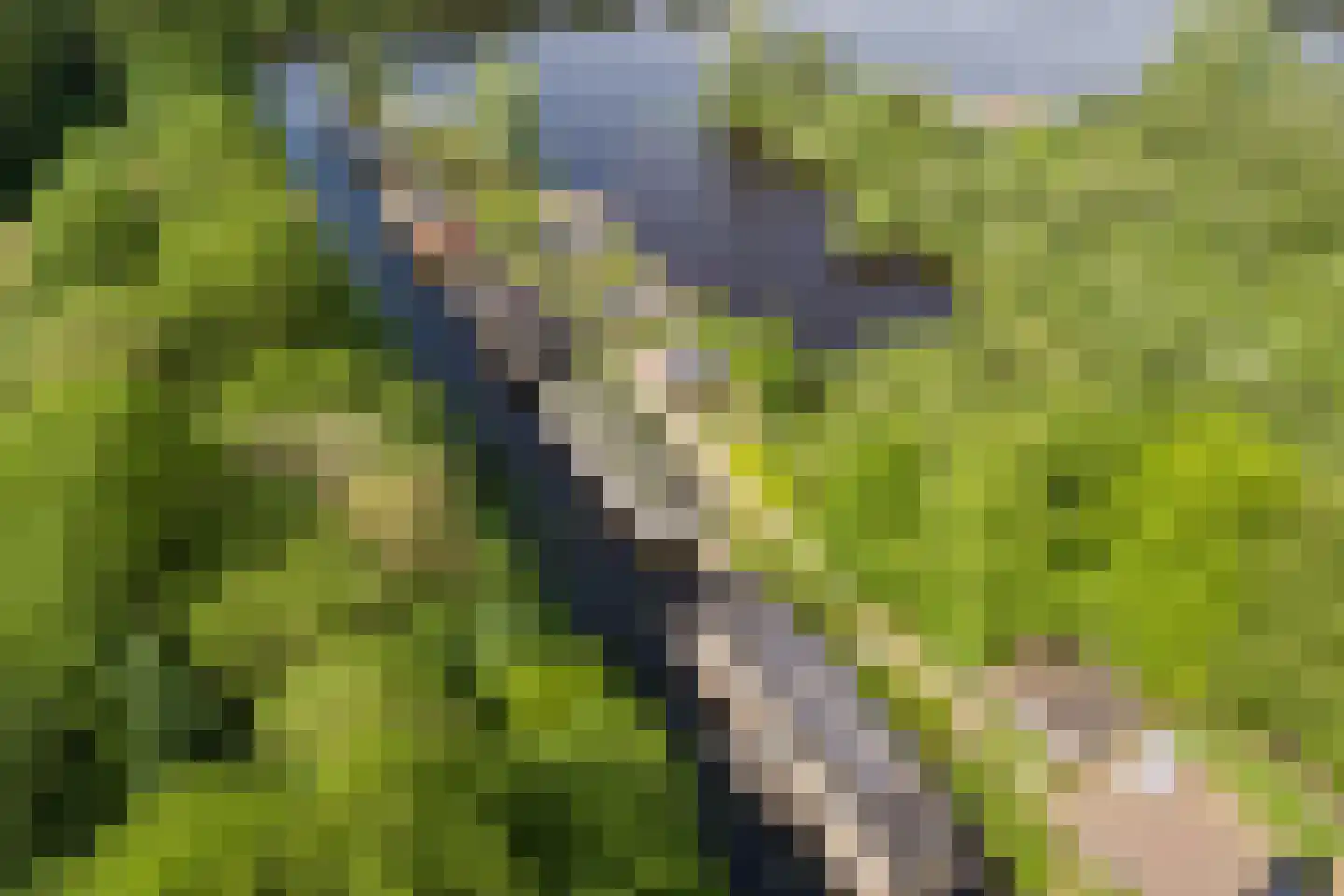 Kostverloren 1002 Heerenveen thumbnail 6