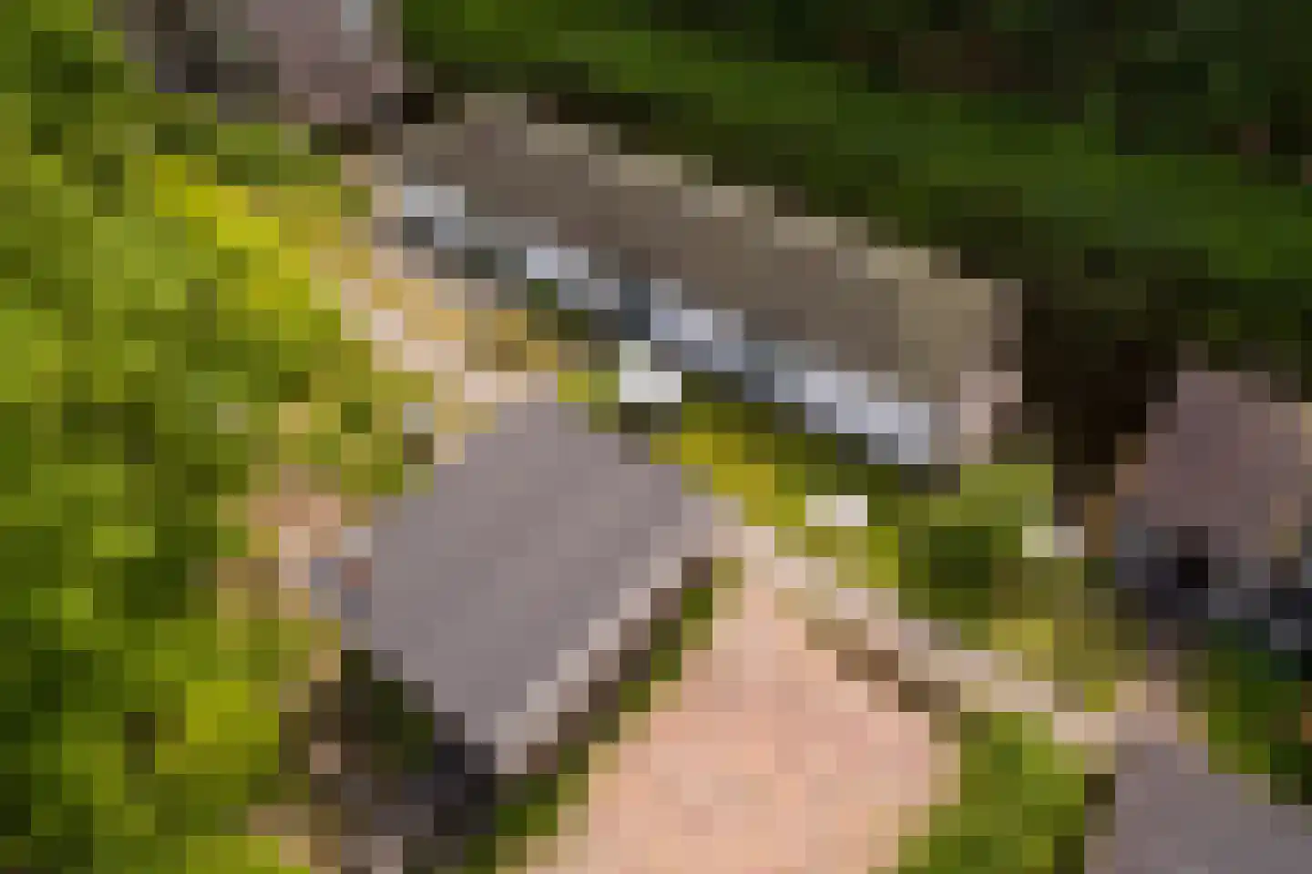 Kostverloren 1002 Heerenveen thumbnail 8