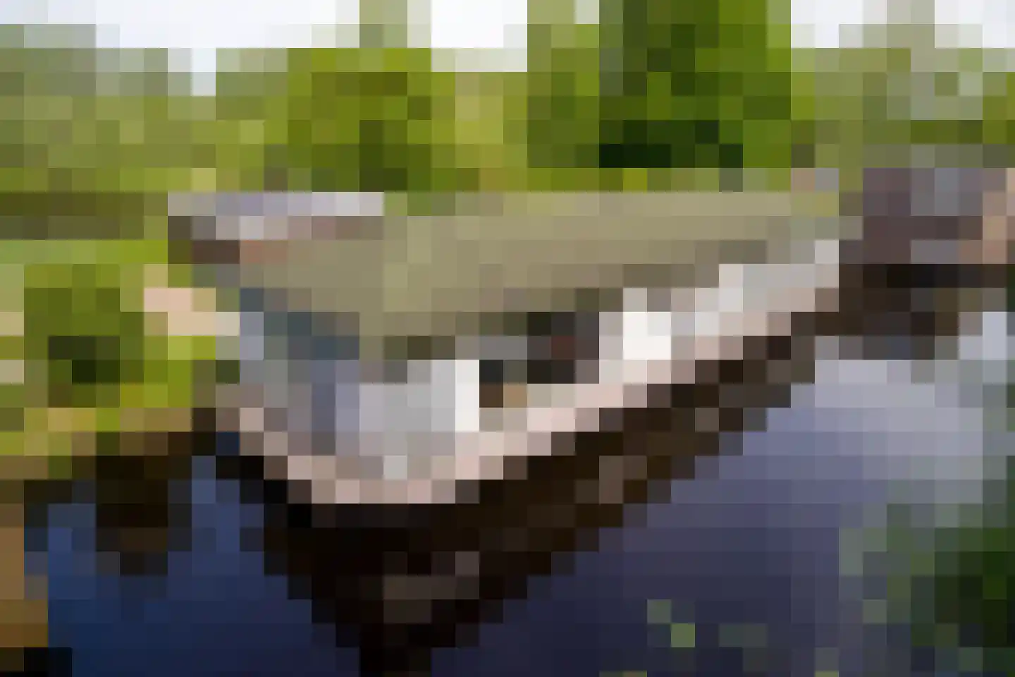Kostverloren 1002 Heerenveen thumbnail 9