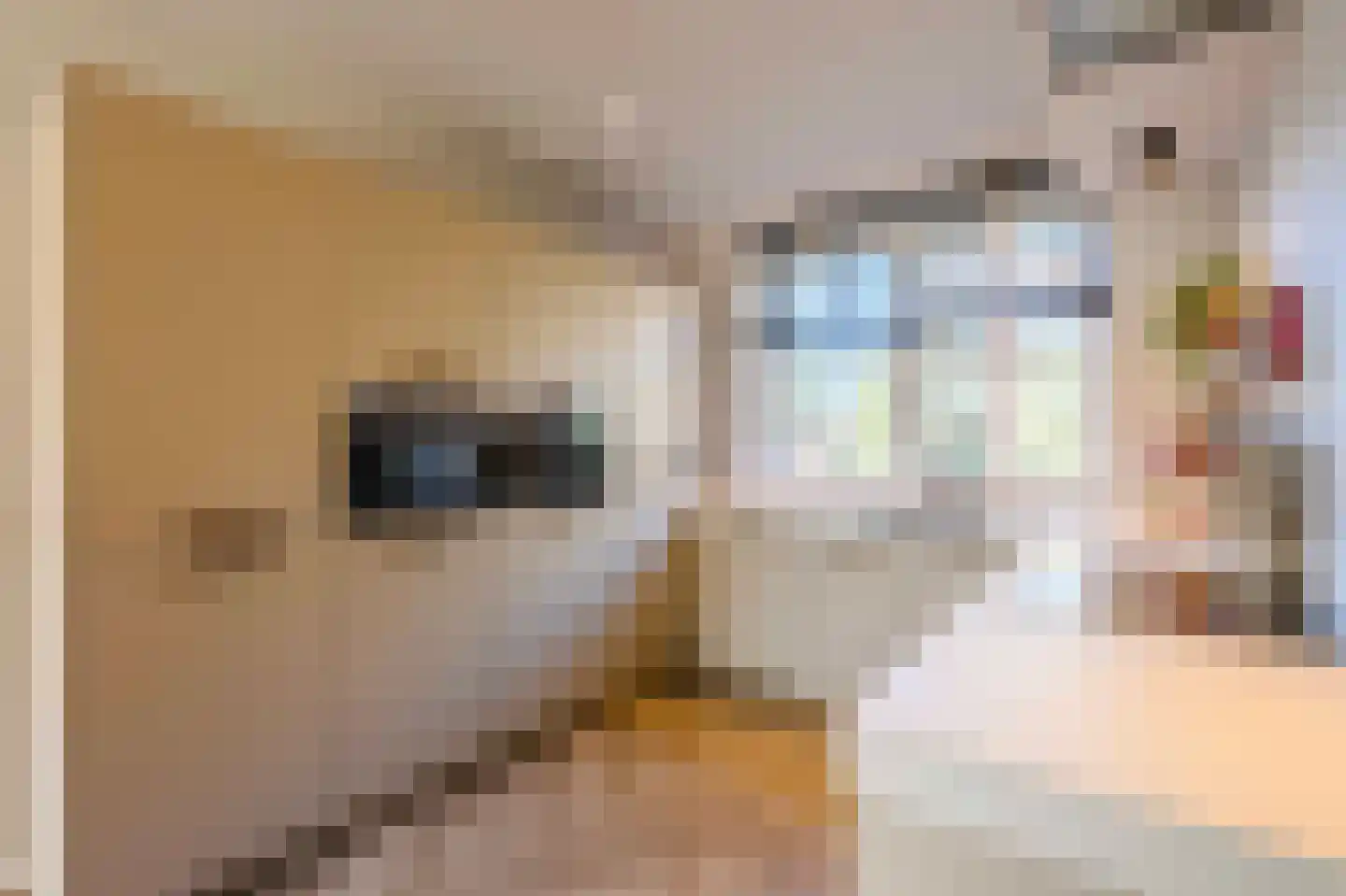 Kostverloren 13 Noordwijk thumbnail 21