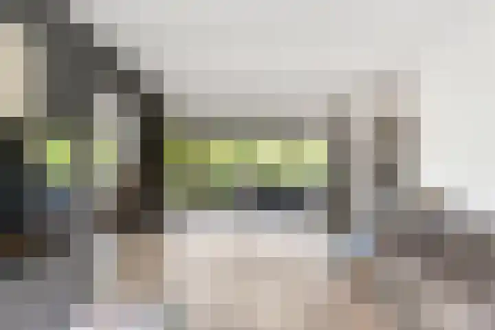 Kostverloren 17 Nijkerk thumbnail 10