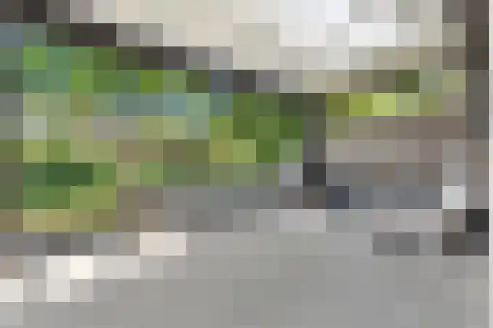 Kostverloren 17 Nijkerk thumbnail 22