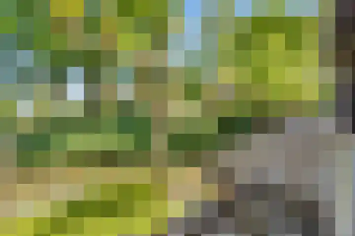 Kostverloren 17 Nijkerk thumbnail 25