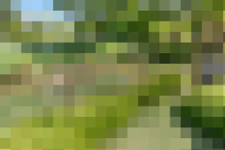 Kostverloren 17 Nijkerk thumbnail 26