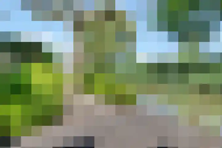 Kostverloren 17 Nijkerk thumbnail 27
