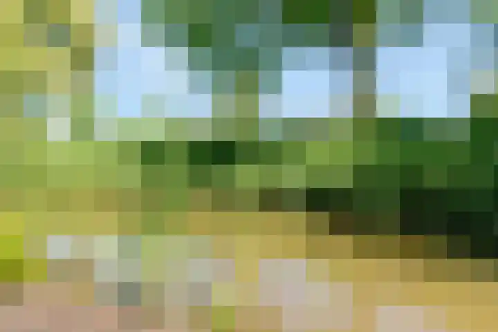 Kostverloren 17 Nijkerk thumbnail 28