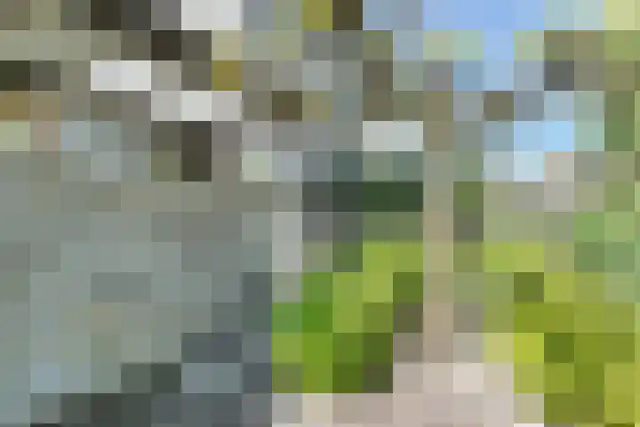 Kostverloren 17 Nijkerk thumbnail 29