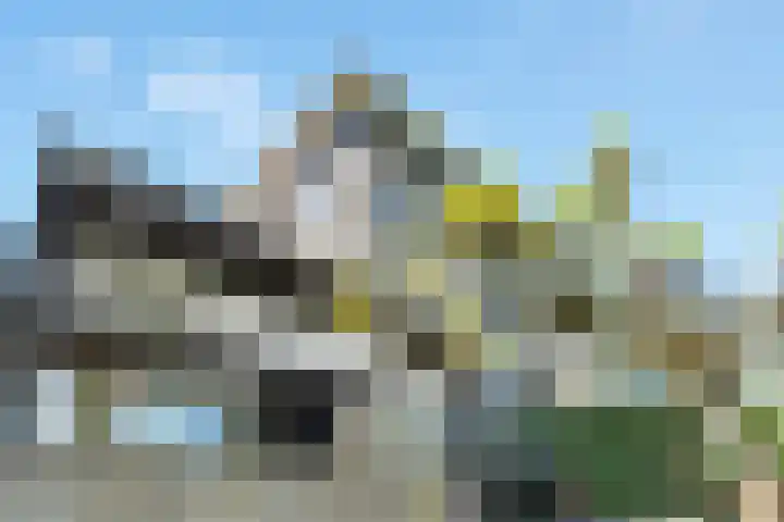 Kostverloren 17 Nijkerk thumbnail 30