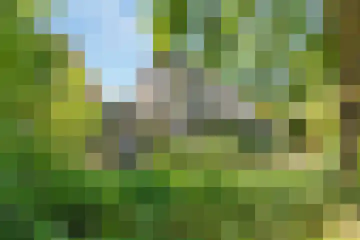 Kostverloren 17 Nijkerk thumbnail 31