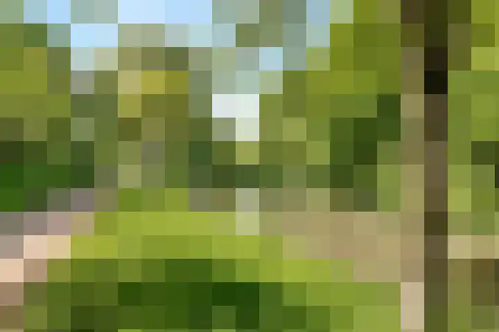 Kostverloren 17 Nijkerk thumbnail 32
