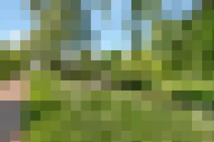 Kostverloren 17 Nijkerk thumbnail 33
