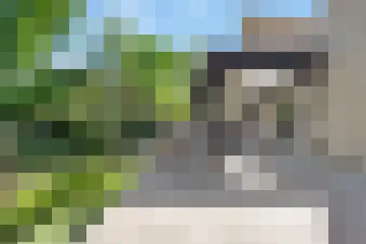 Kostverloren 17 Nijkerk thumbnail 4