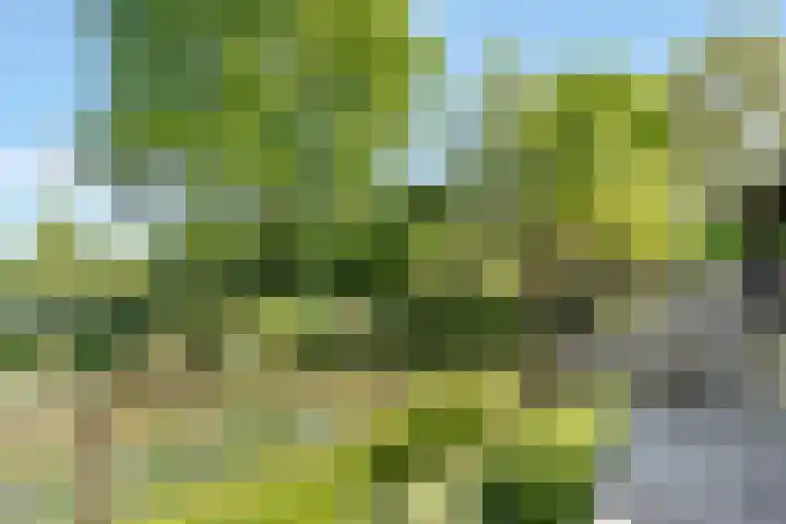 Kostverloren 17 Nijkerk thumbnail 5