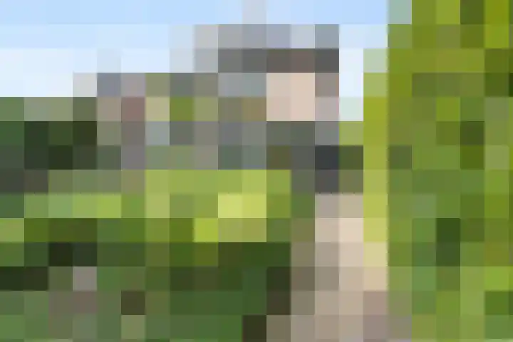 Kostverloren 19 Veenendaal