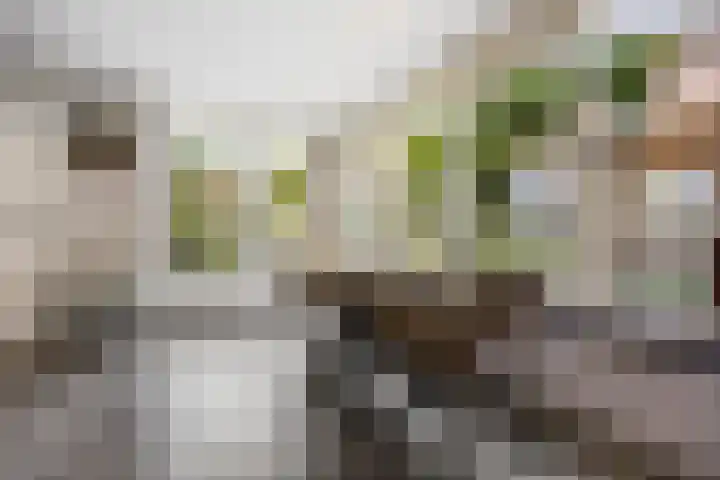 Kostverloren 19 Veenendaal thumbnail 13