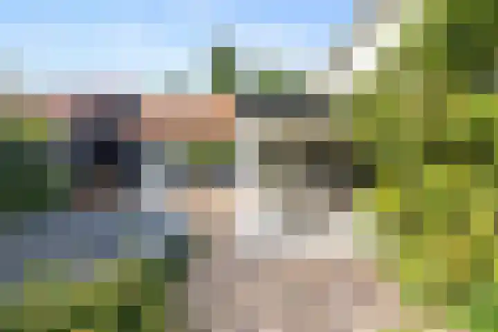Kostverloren 19 Veenendaal foto 2