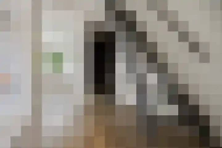 Kostverloren 19 Veenendaal thumbnail 34