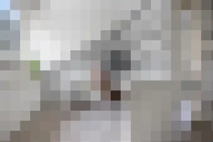 Kostverloren 19 Veenendaal thumbnail 37