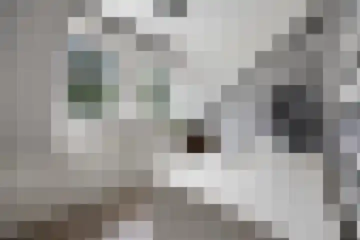 Kostverloren 19 Veenendaal thumbnail 38