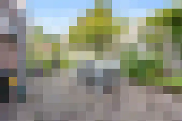 Kostverloren 19 Veenendaal thumbnail 40