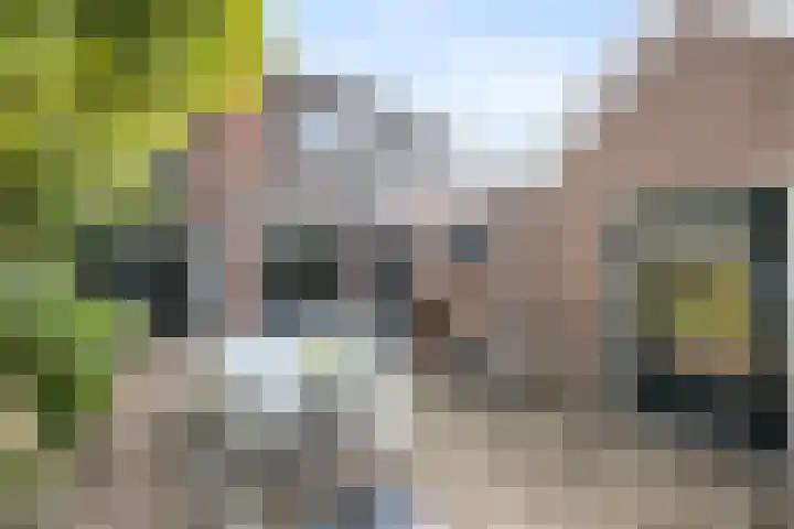 Kostverloren 19 Veenendaal thumbnail 41