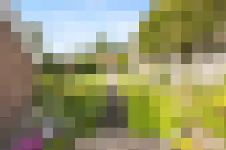 Kostverloren 19 Veenendaal thumbnail 42
