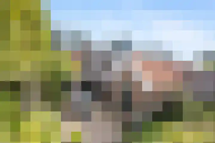 Kostverloren 19 Veenendaal thumbnail 43