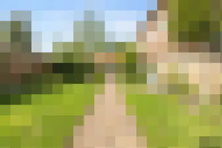 Kostverloren 19 Veenendaal thumbnail 44