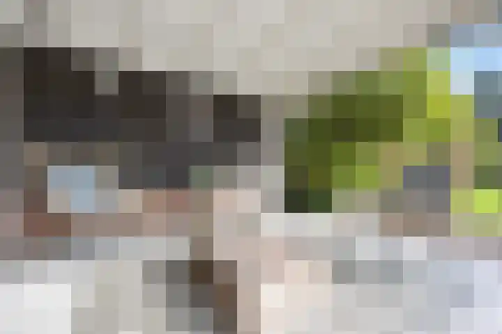 Kostverloren 19 Veenendaal thumbnail 48