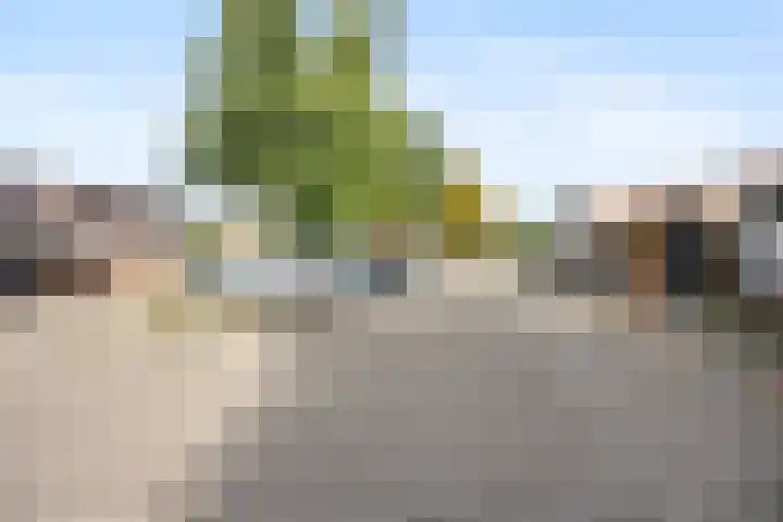 Kostverloren 19 Veenendaal thumbnail 56