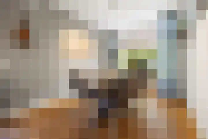 Kostverloren 19 Veenendaal thumbnail 6
