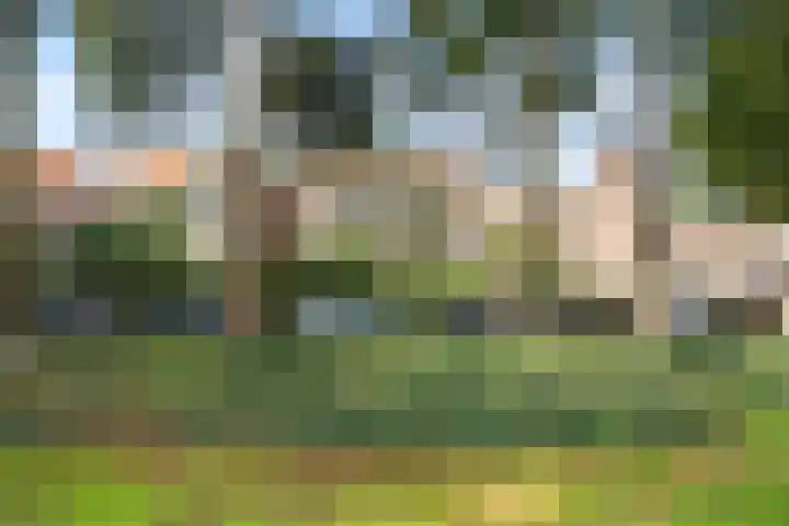 Kostverloren 19 Veenendaal thumbnail 61