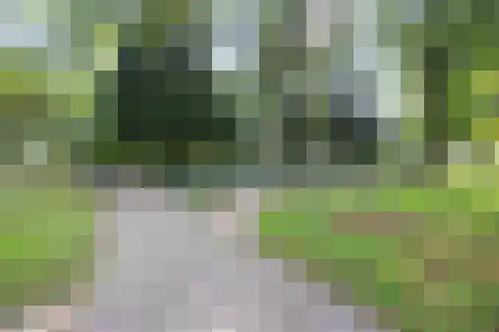 Kostverloren 19 Veenendaal thumbnail 62