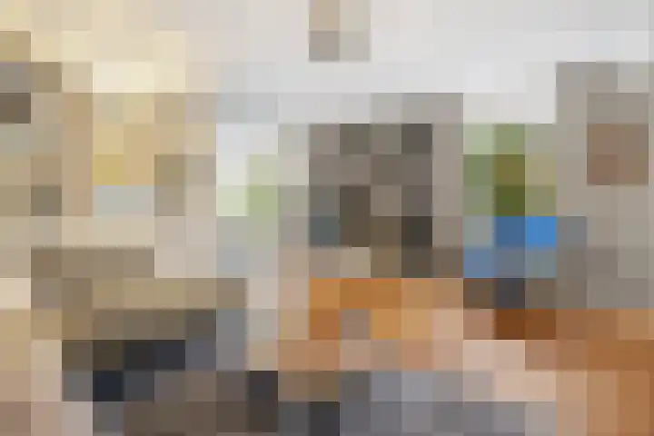 Kostverloren 19 Veenendaal thumbnail 8
