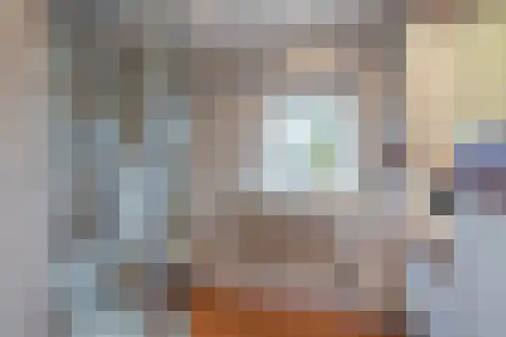 Kostverloren 23 Elst thumbnail 19
