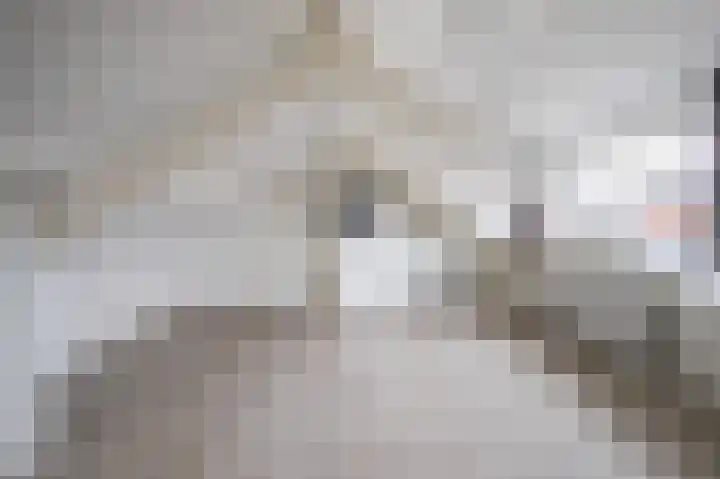 Kostverloren 23 Elst thumbnail 24