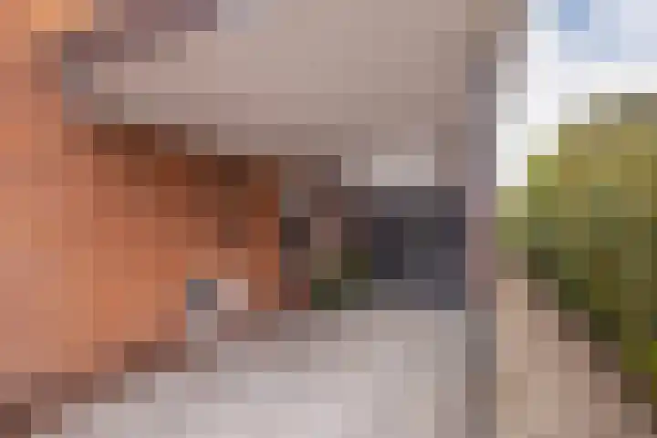 Kostverloren 23 Elst thumbnail 31