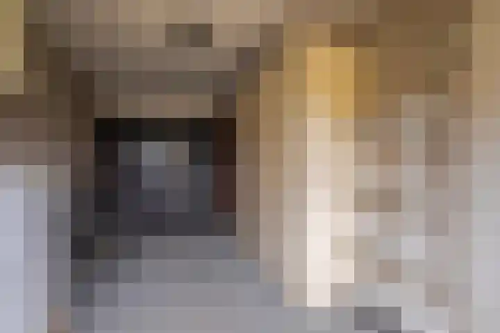 Kostverloren 23 Elst thumbnail 32