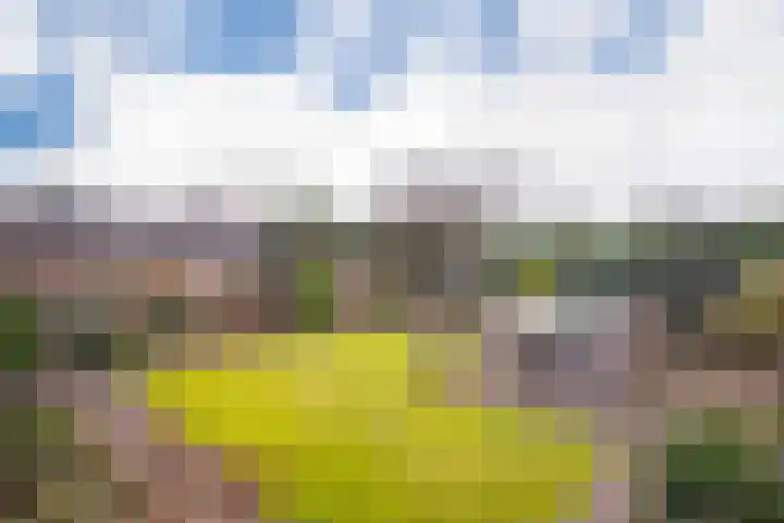 Kostverloren 23 Elst thumbnail 33