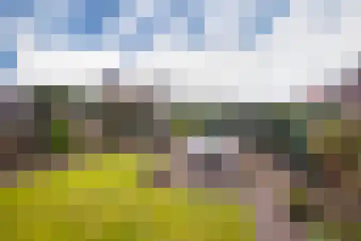 Kostverloren 23 Elst thumbnail 34
