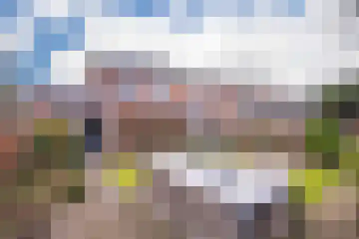 Kostverloren 23 Elst thumbnail 35