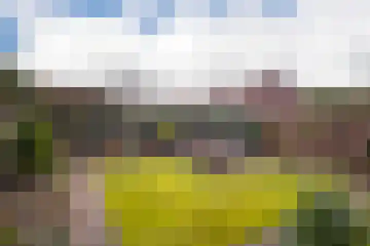 Kostverloren 23 Elst thumbnail 37