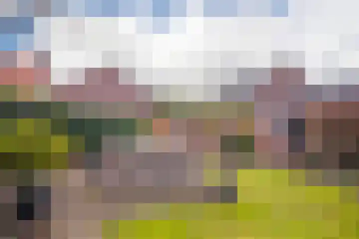 Kostverloren 23 Elst thumbnail 38