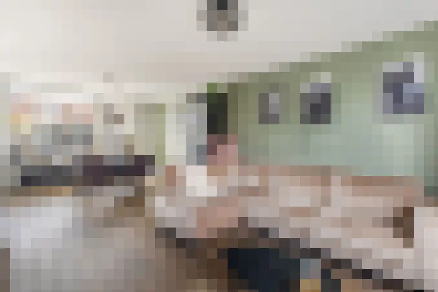 Kostverloren 26 Nijkerk thumbnail 11