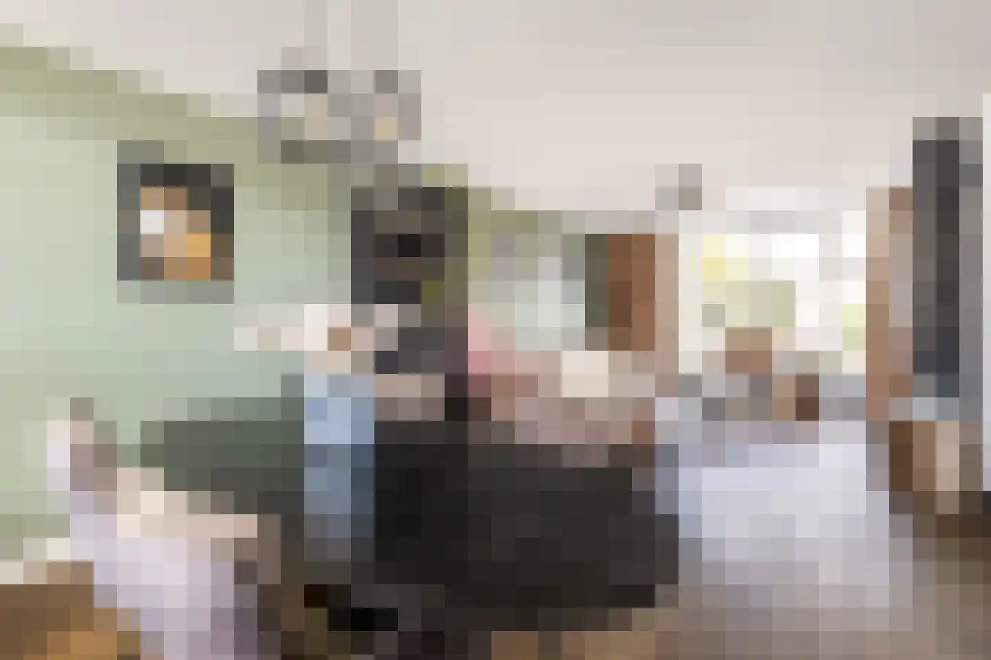 Kostverloren 26 Nijkerk thumbnail 13