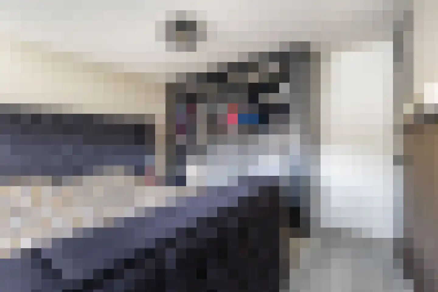 Kostverloren 26 Nijkerk thumbnail 21