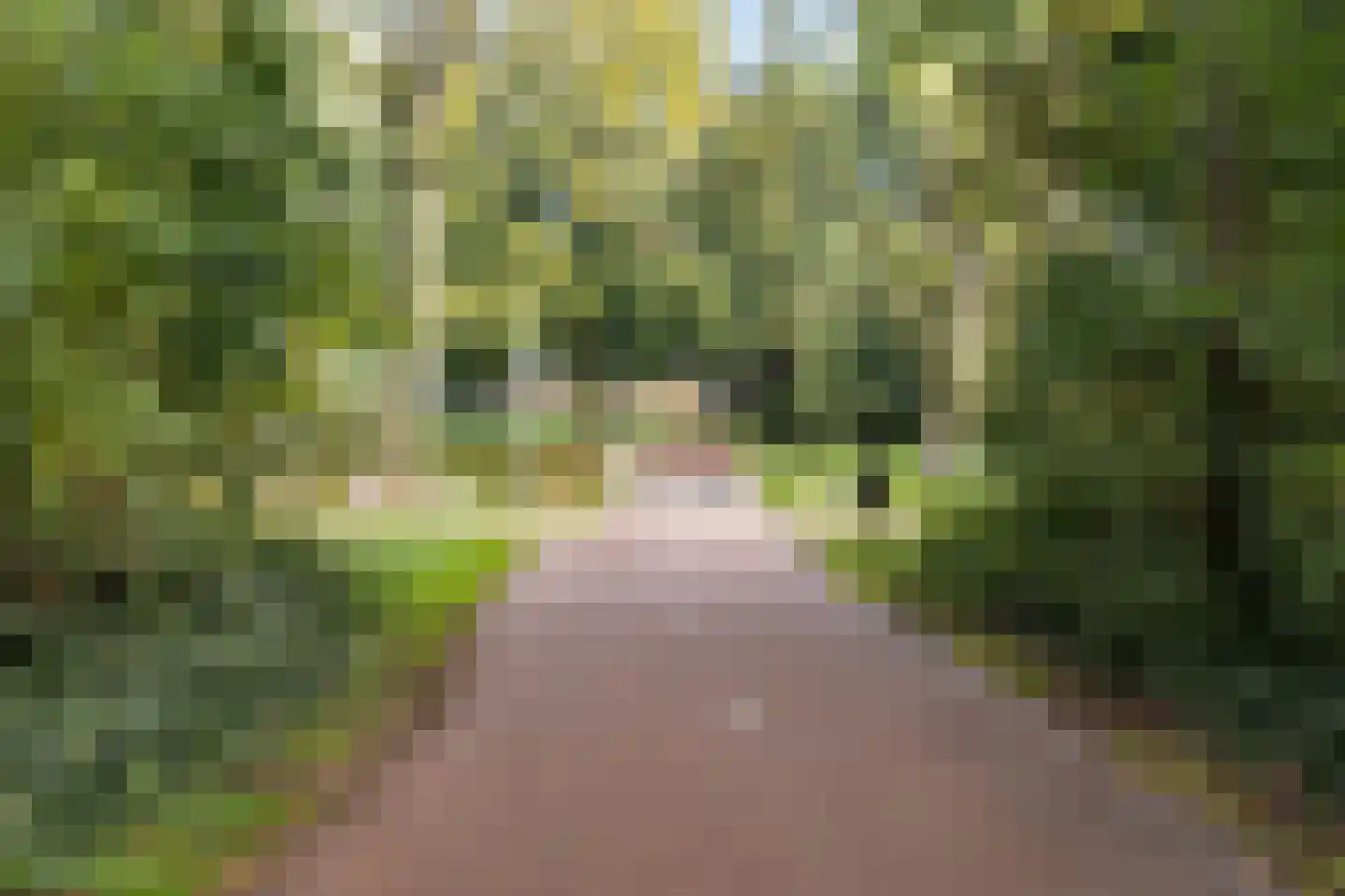 Kostverloren 26 Nijkerk thumbnail 29