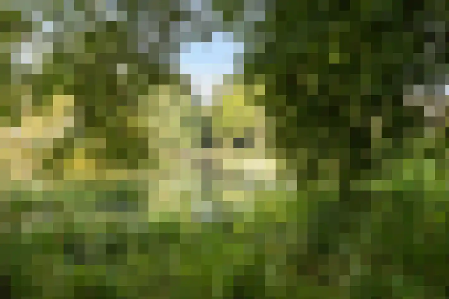 Kostverloren 26 Nijkerk thumbnail 32